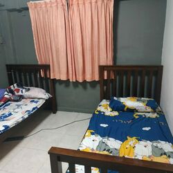 Blk 74 Whampoa Court (Toa Payoh), HDB 3 Rooms #582145811